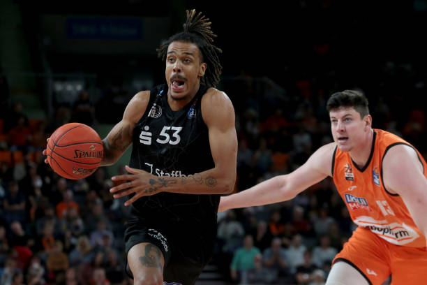 杨的表现形 杨的表现形